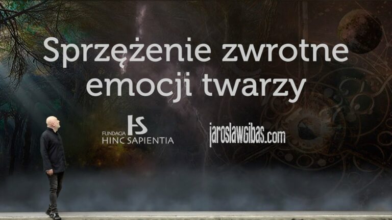 Sprzężenie zwrotne emocji twarzy #127