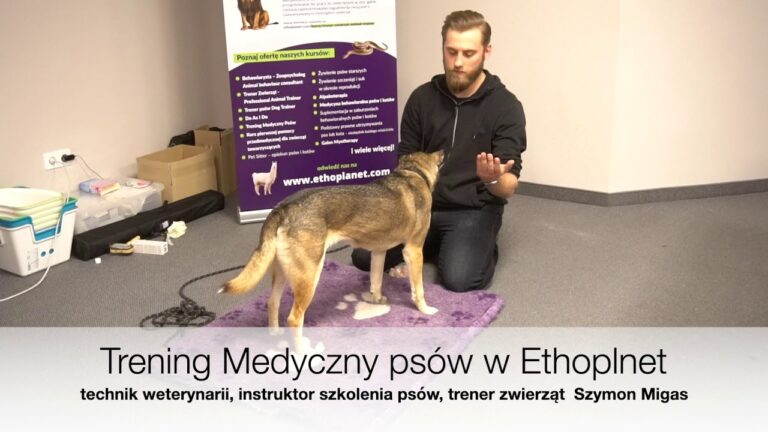 Trening Medyczny Psów