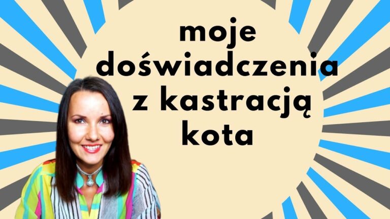 KASTRACJA a STERYLIZACJA u kocura i kotki / opieka po zabiegu / wady i zalety